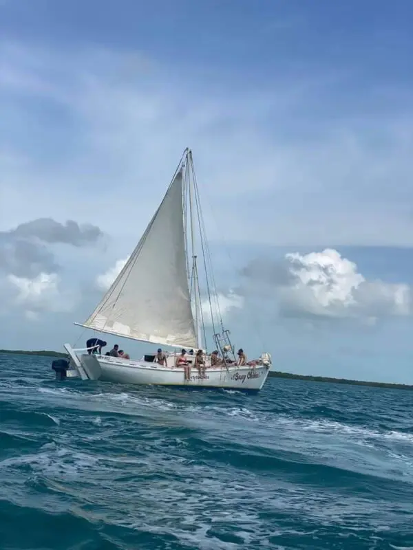 liberty sailing tours caye caulker