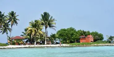 A beach with palm trees and people in the water.