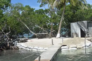 A dock on the beach with trees in the background