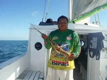 A man holding a fish on the boat